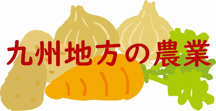九州地方の農業のポイント